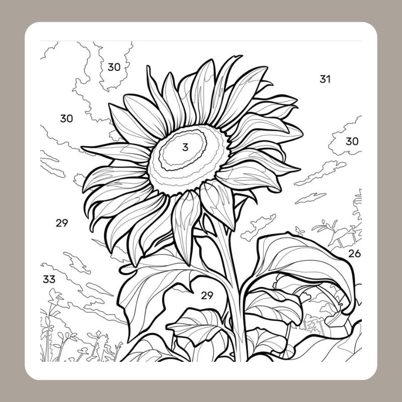 tô màu hoa hướng dương 21