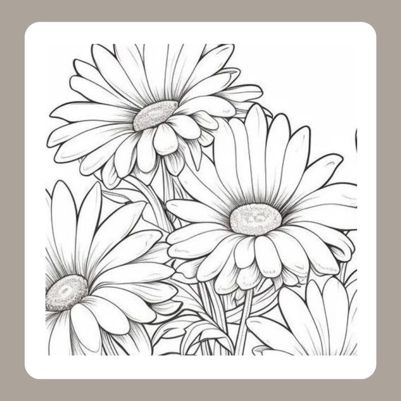 tô màu hoa hướng dương 23