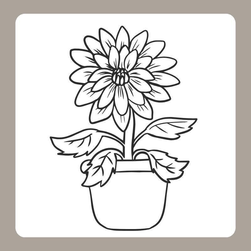 tô màu hoa hướng dương 5