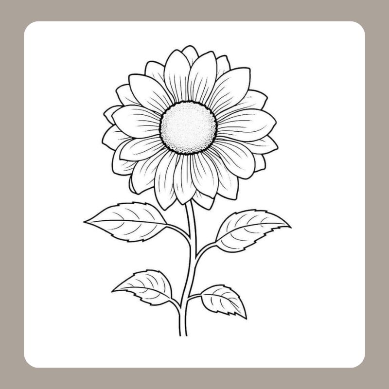 tô màu hoa hướng dương 9