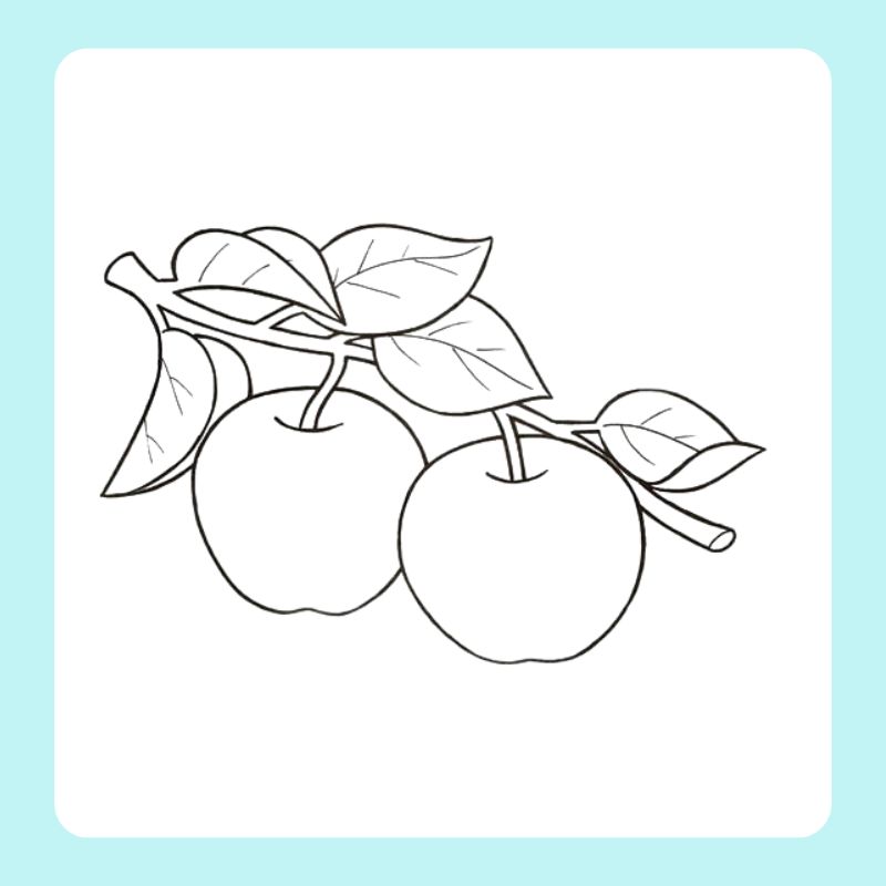 tô màu quả táo (12)