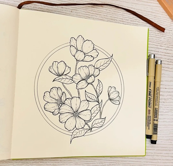 tranh hoa cúc họa mi