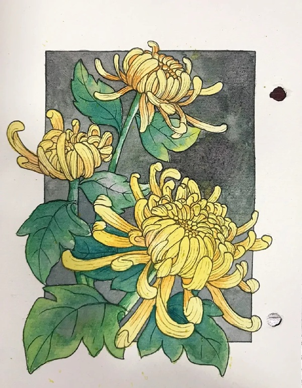 tranh hoa cúc vàng