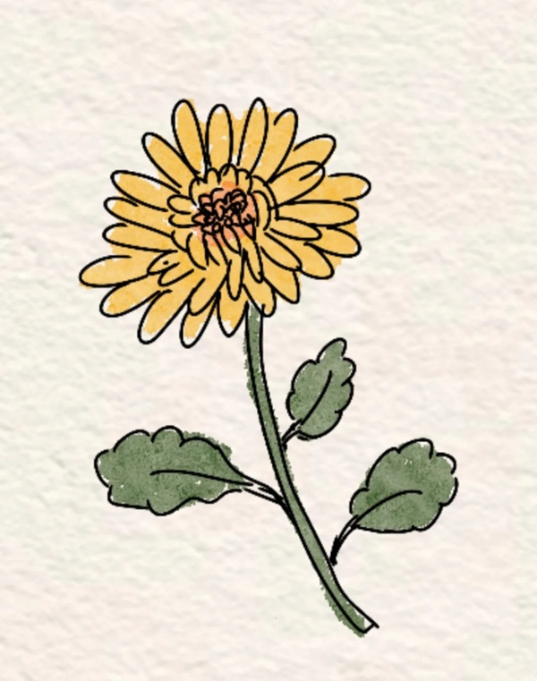 tranh thủy mặc hoa cúc