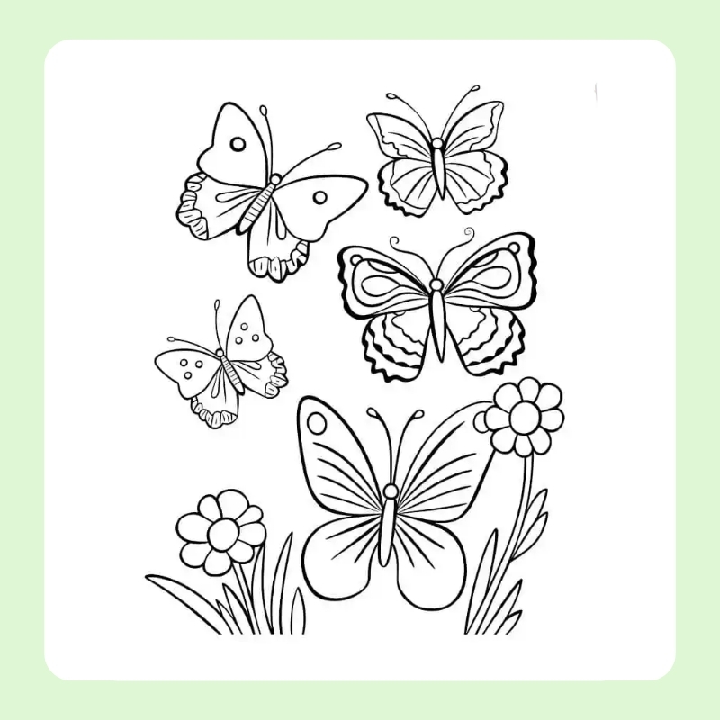 tranh tô màu con bướm đẹp