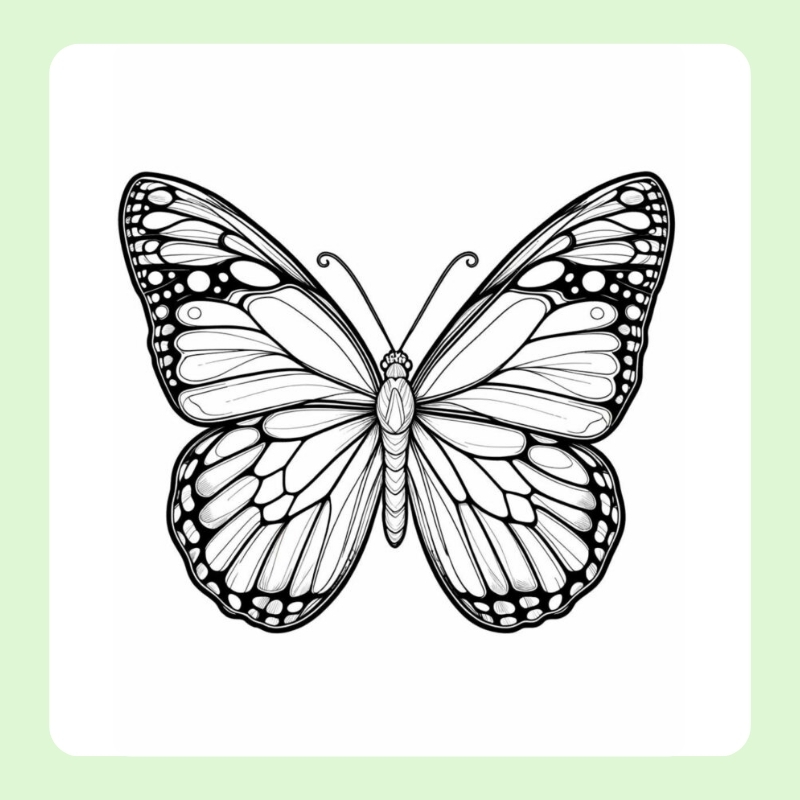 tranh tô màu con bướm​