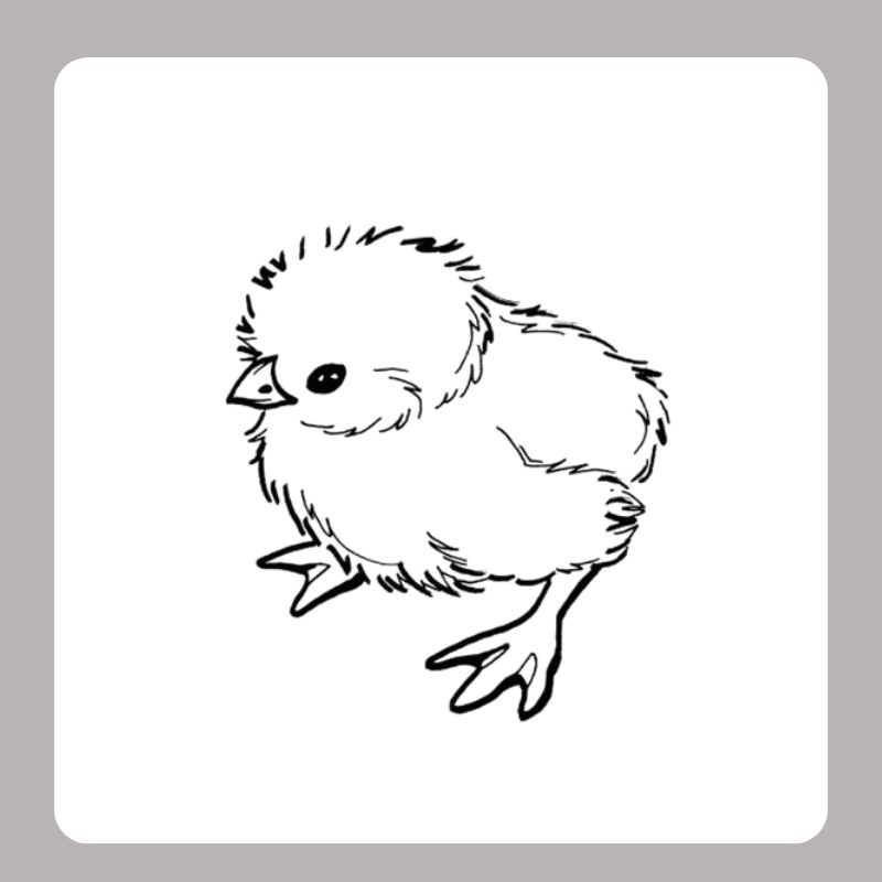 tranh tô màu con gà con (1)