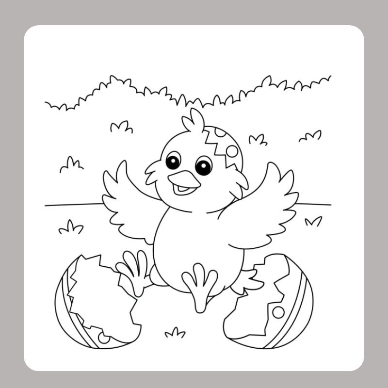 tranh tô màu con gà con (10)