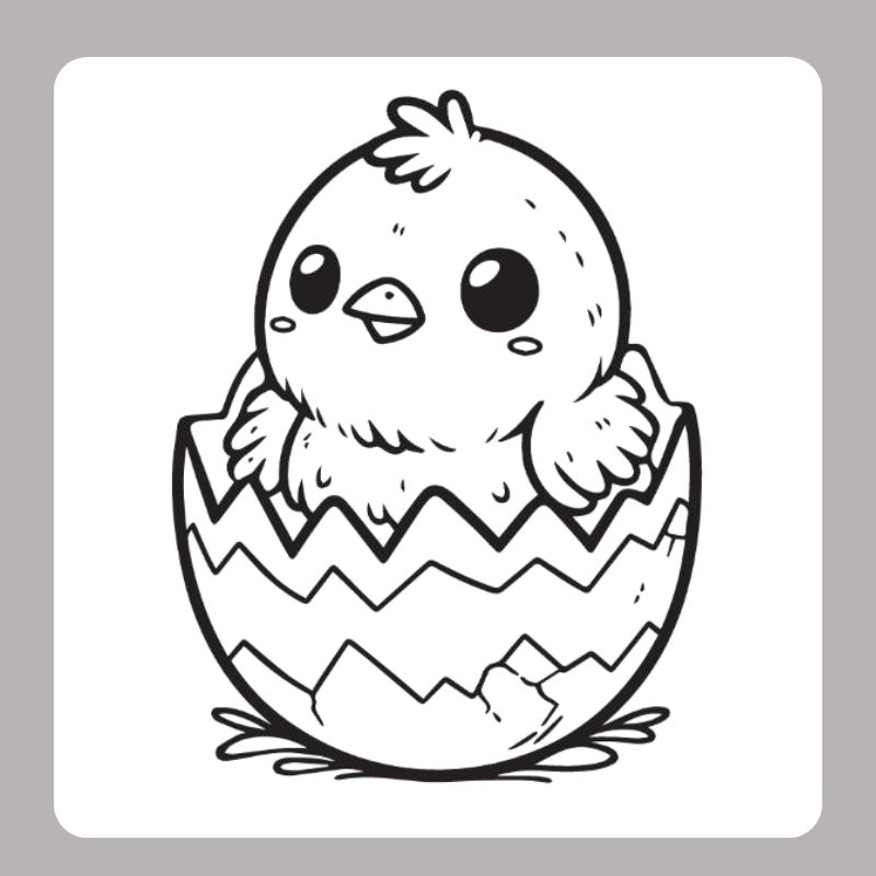 tranh tô màu con gà con (2)