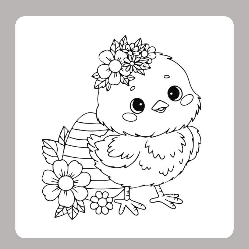 tranh tô màu con gà con (3)