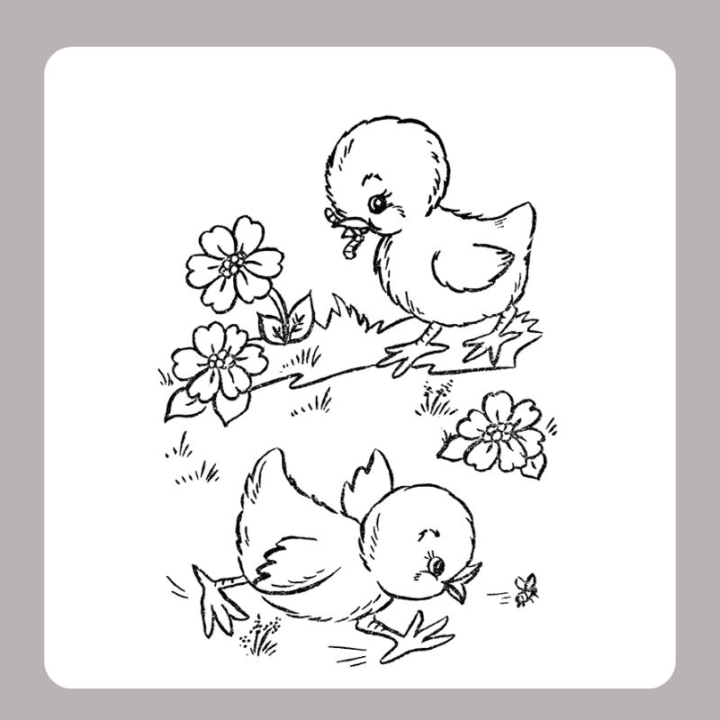 tranh tô màu con gà con (5)