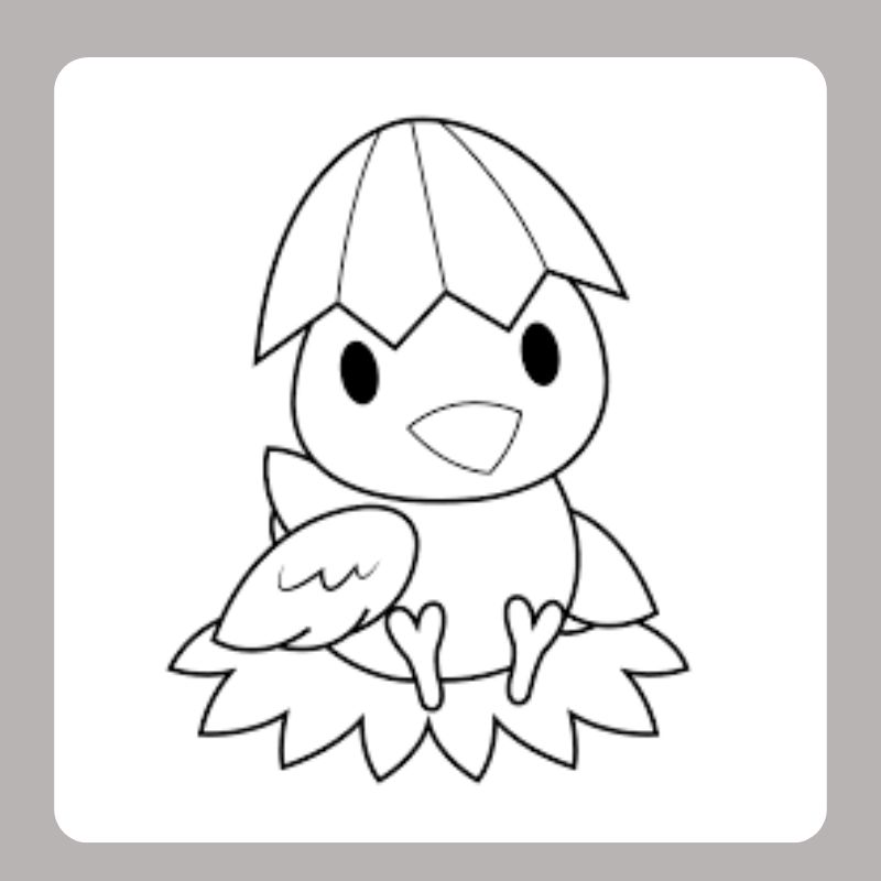 tranh tô màu con gà con (8)