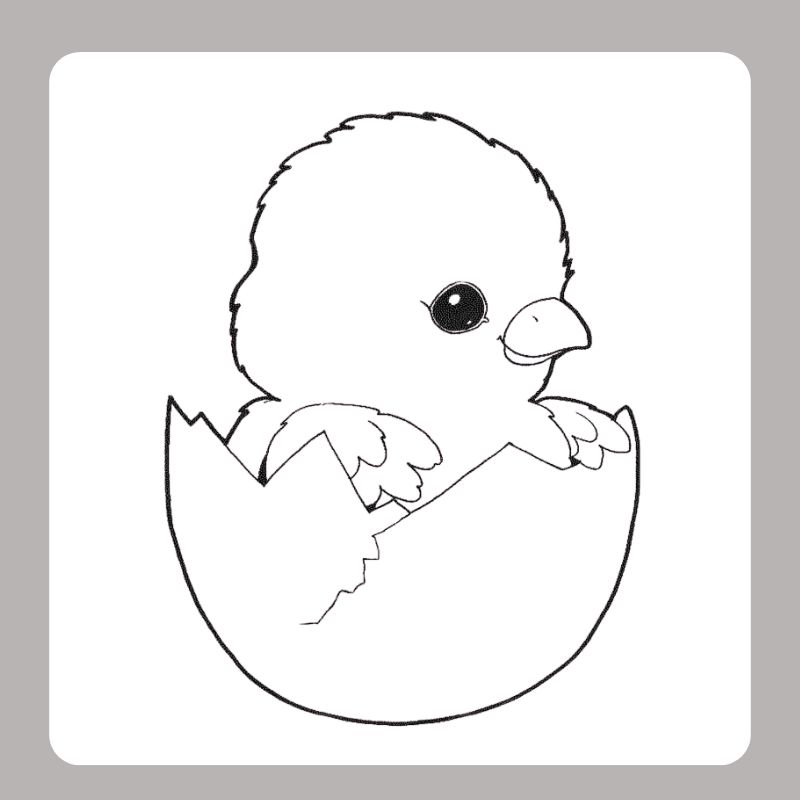 tranh tô màu con gà con (9)