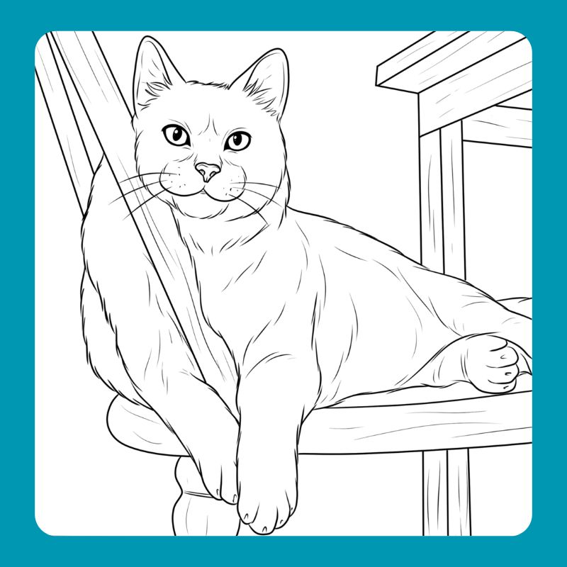 tranh tô màu con mèo (3)