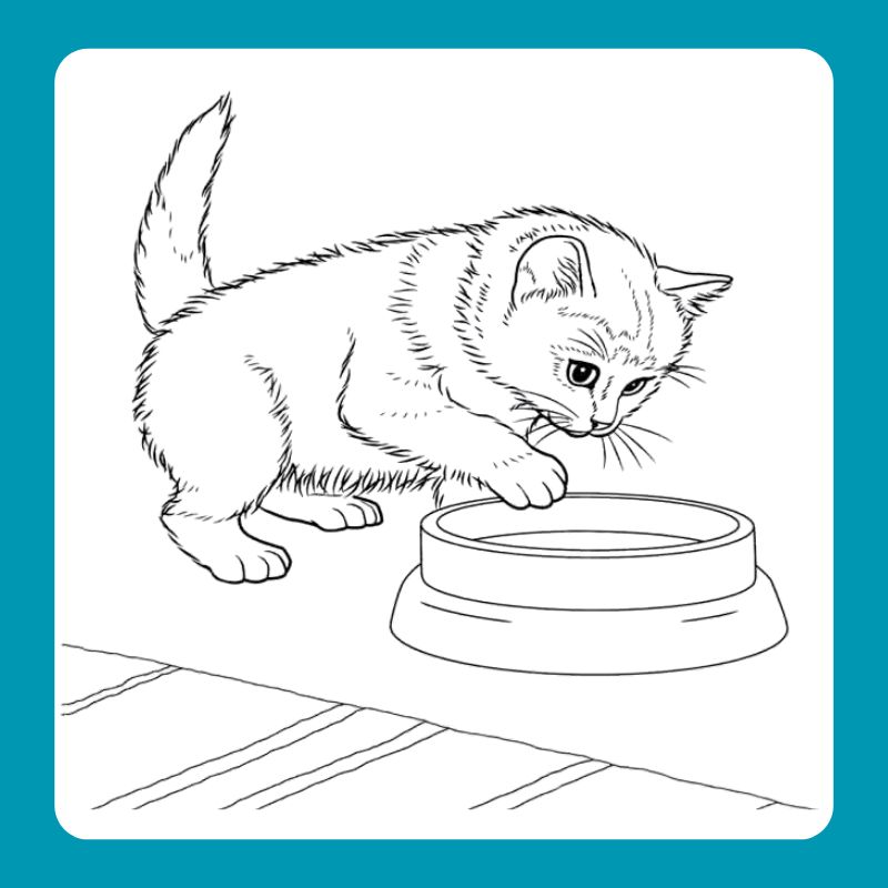 tranh tô màu con mèo (9)