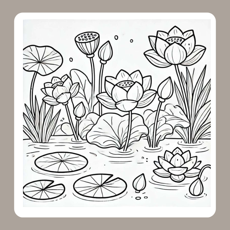 tranh tô màu vườn hoa 11