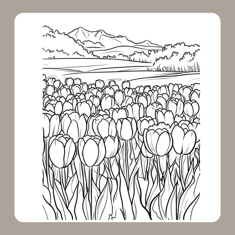 tranh tô màu vườn hoa 18