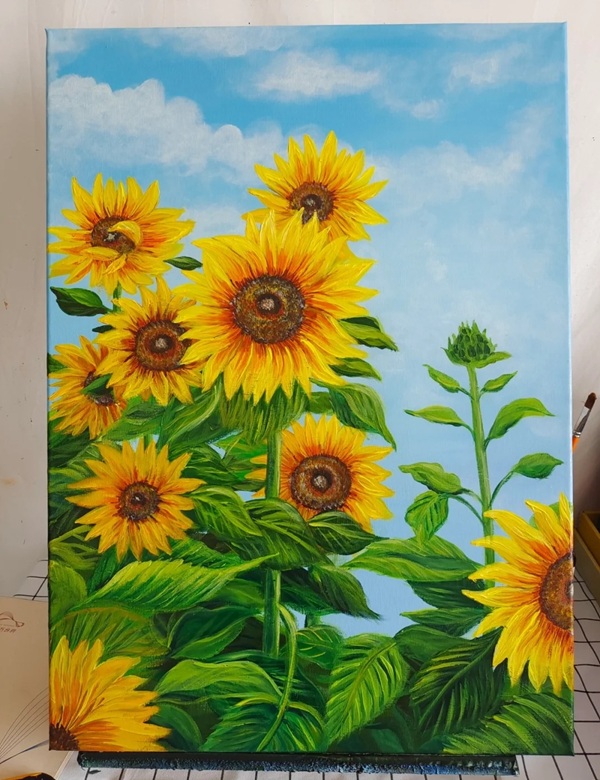 tranh vẽ cánh đồng hoa hướng dương