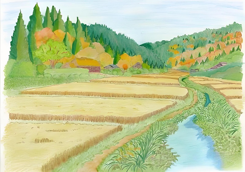 tranh vẽ cánh đồng lúa của học sinh 28