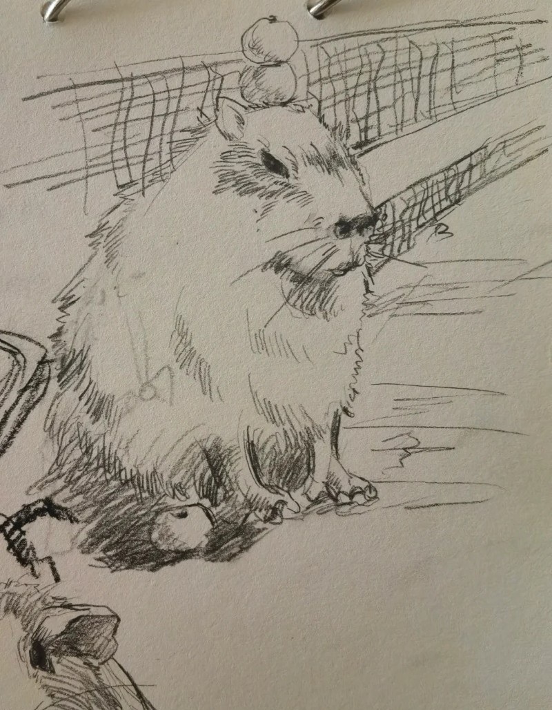 tranh vẽ capybara 10
