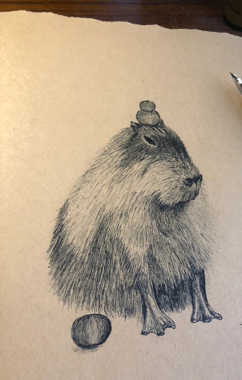 tranh vẽ capybara 17