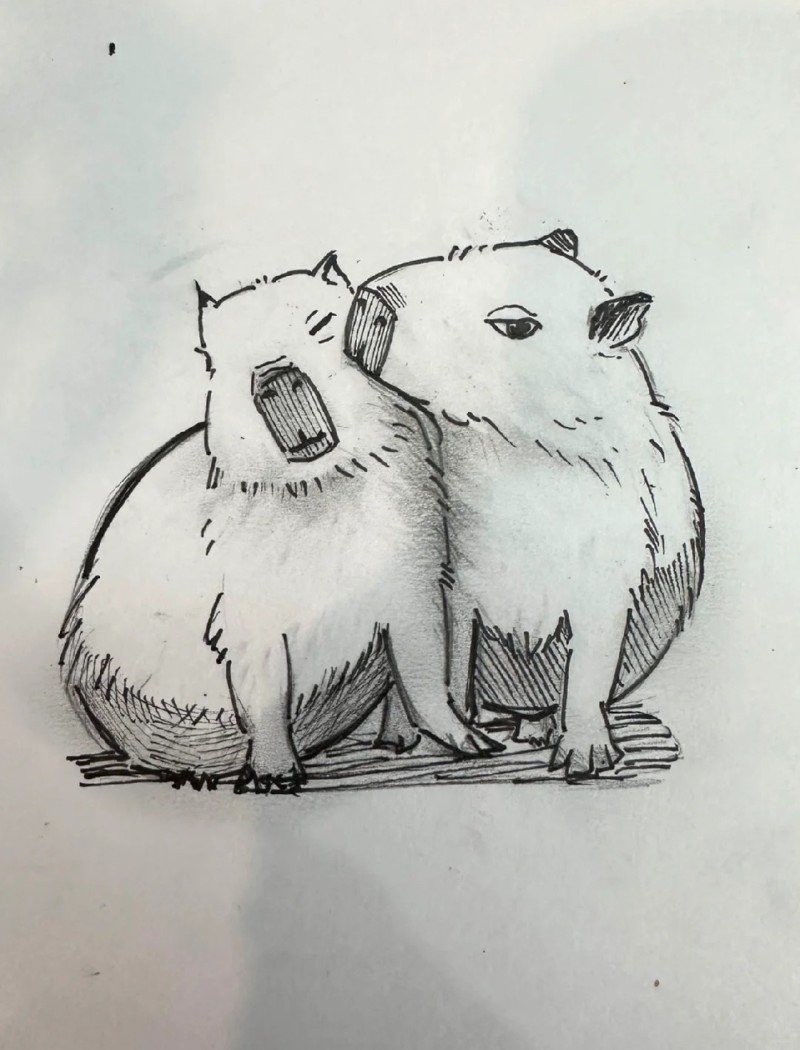 tranh vẽ capybara 21