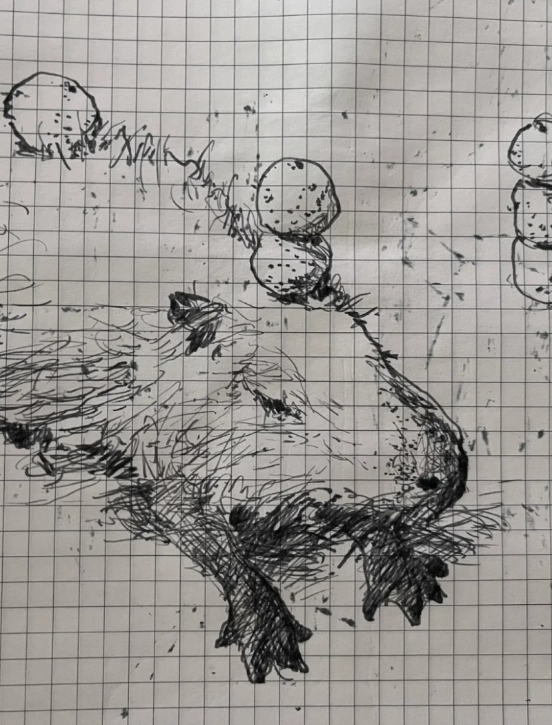 tranh vẽ capybara 25