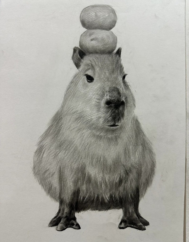 tranh vẽ capybara 3