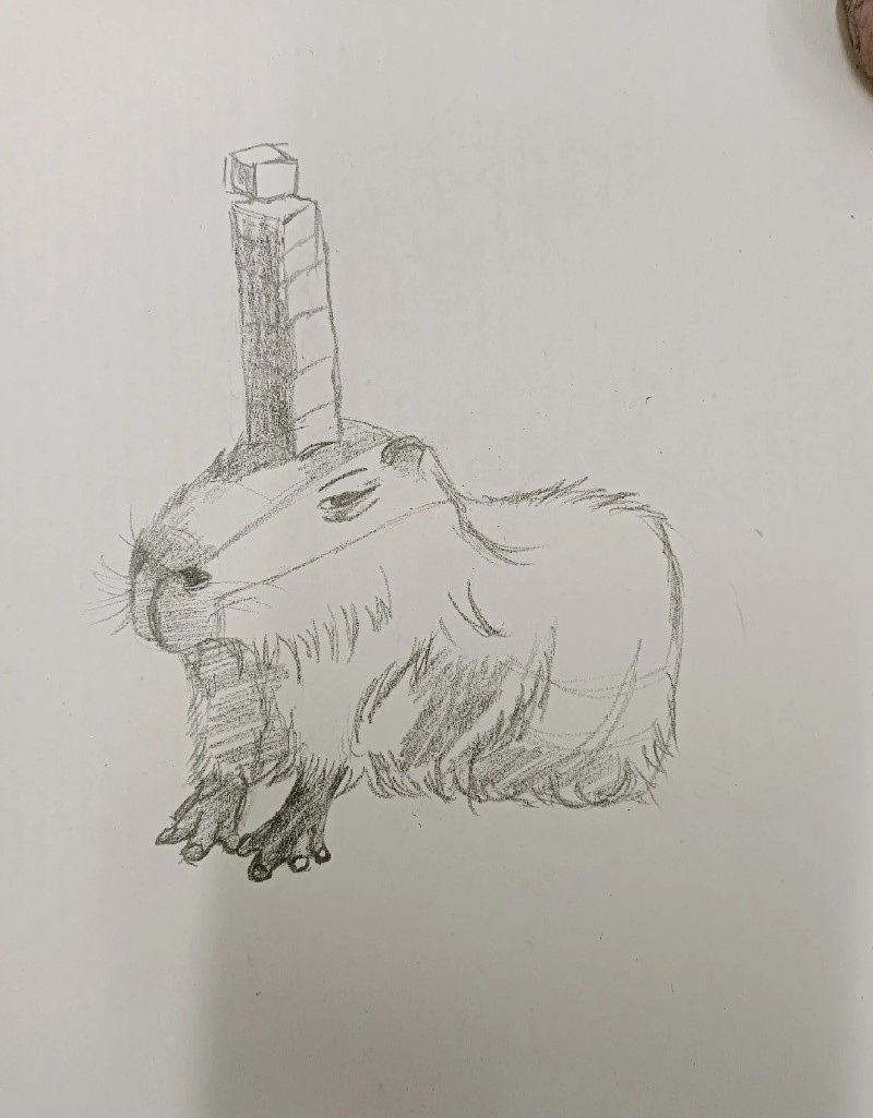 tranh vẽ capybara 7