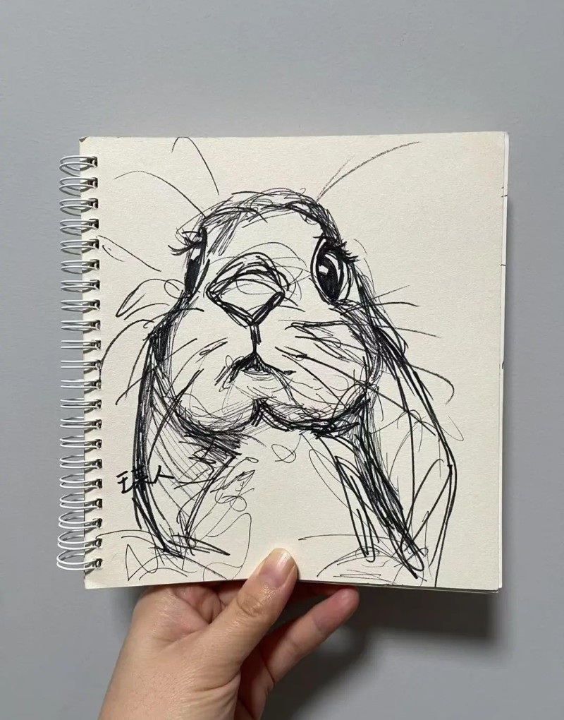 tranh vẽ con thỏ 1