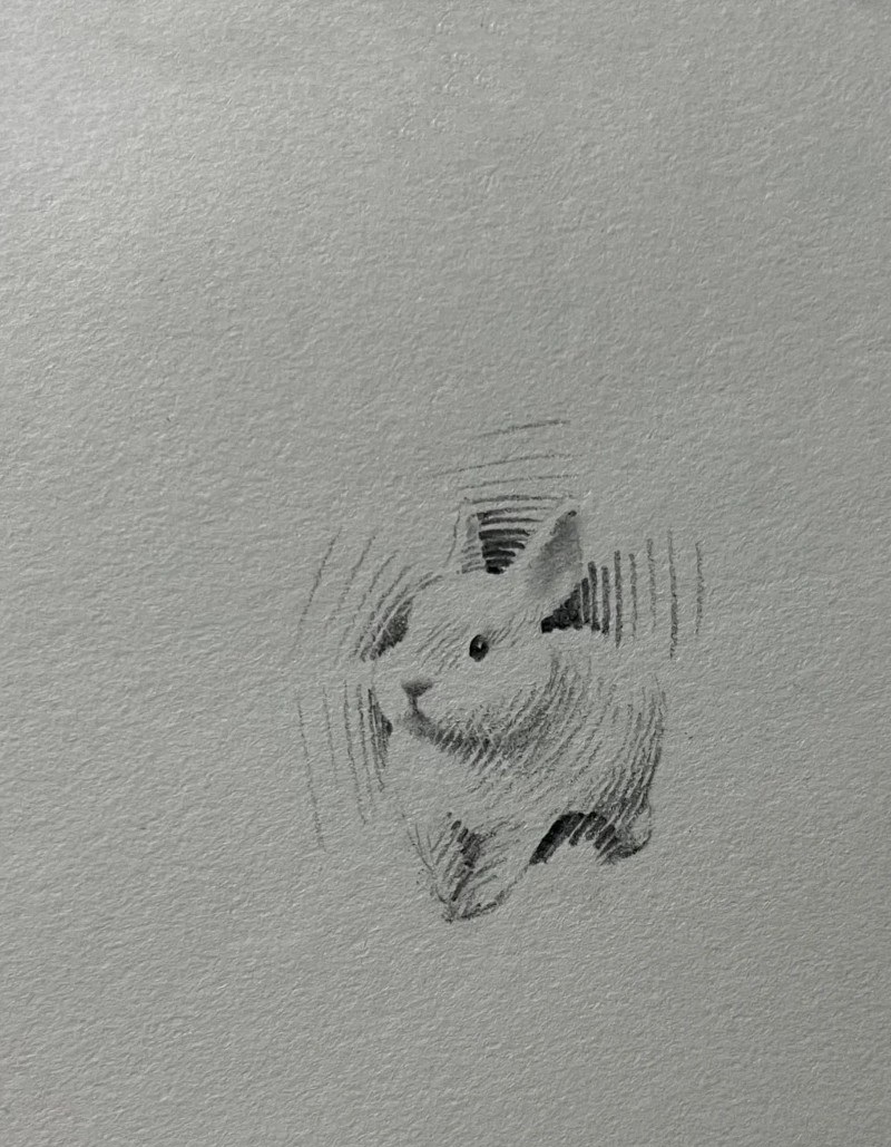 tranh vẽ con thỏ 14