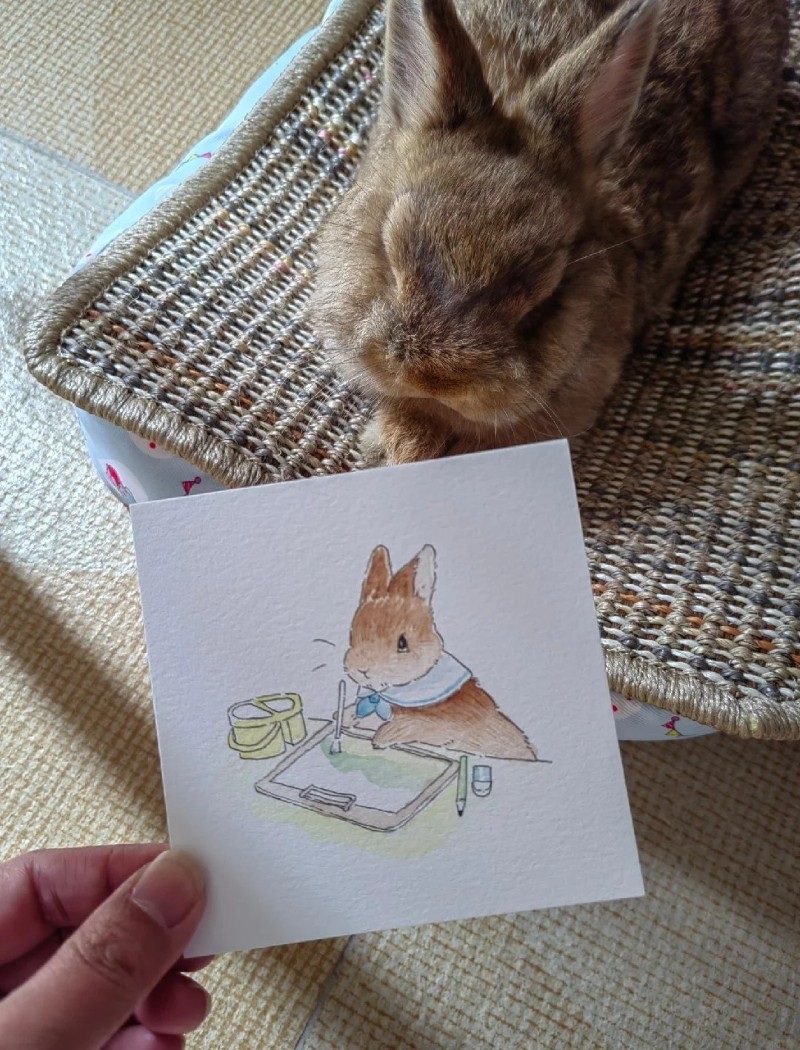 tranh vẽ con thỏ 20