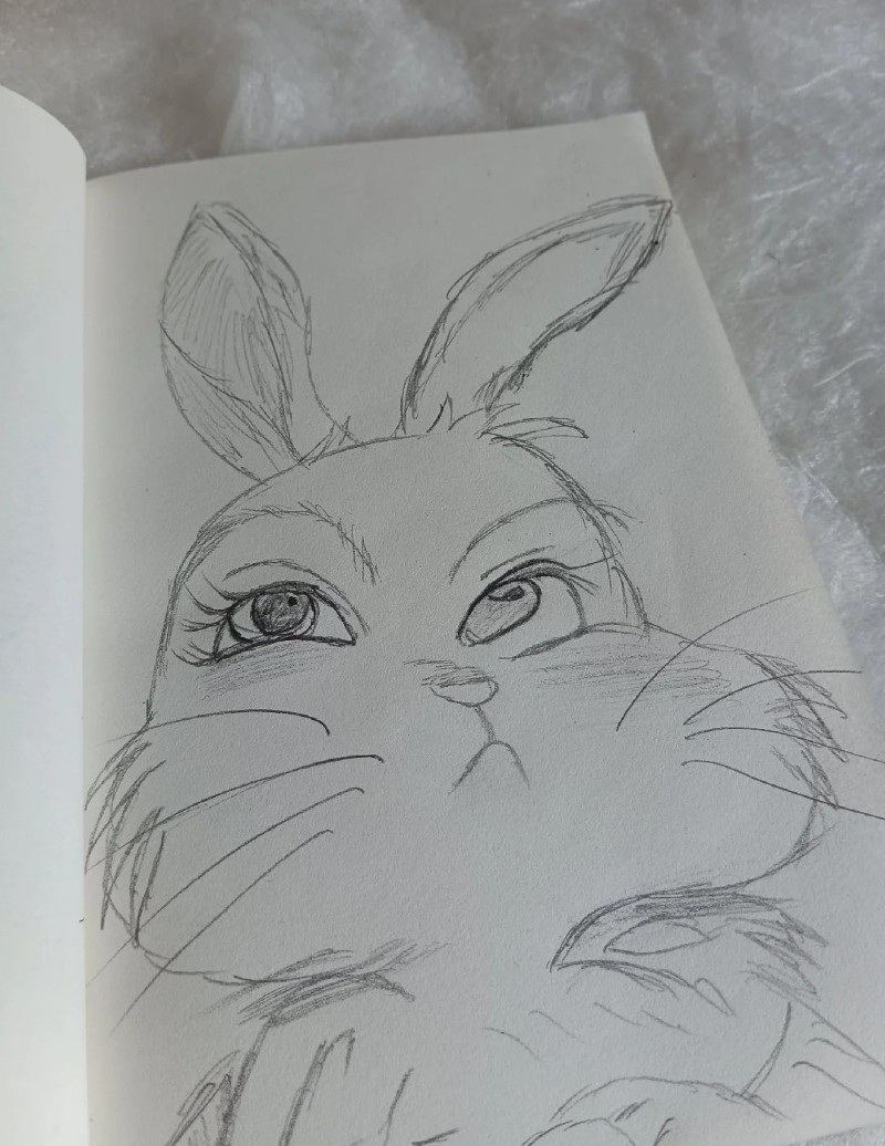 tranh vẽ con thỏ 24 
