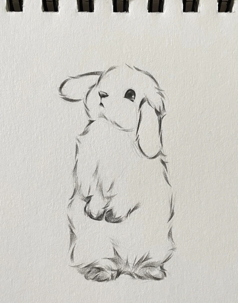 tranh vẽ con thỏ 7