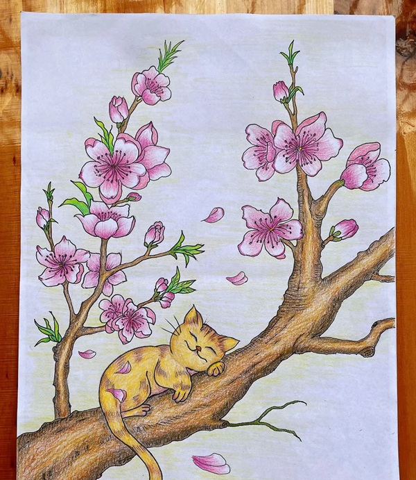 tranh vẽ hoa đào 16
