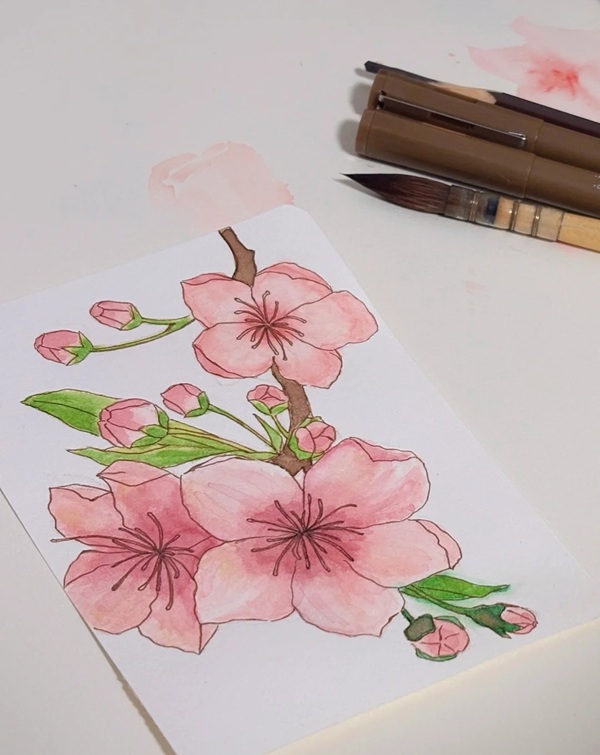 tranh vẽ hoa đào 17