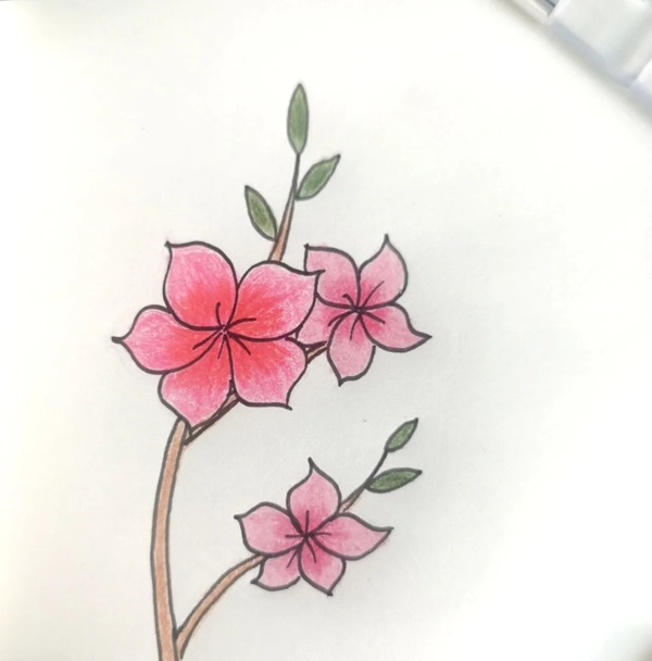 tranh vẽ hoa đào 18