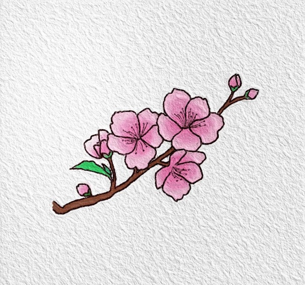tranh vẽ hoa đào 3
