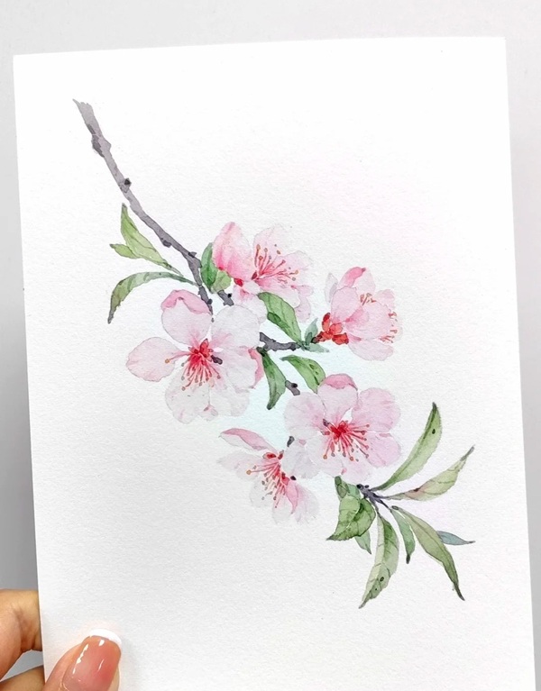 tranh vẽ hoa đào 31