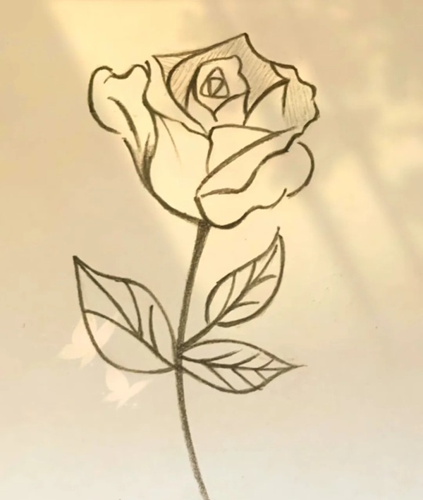 tranh vẽ hoa hồng 15