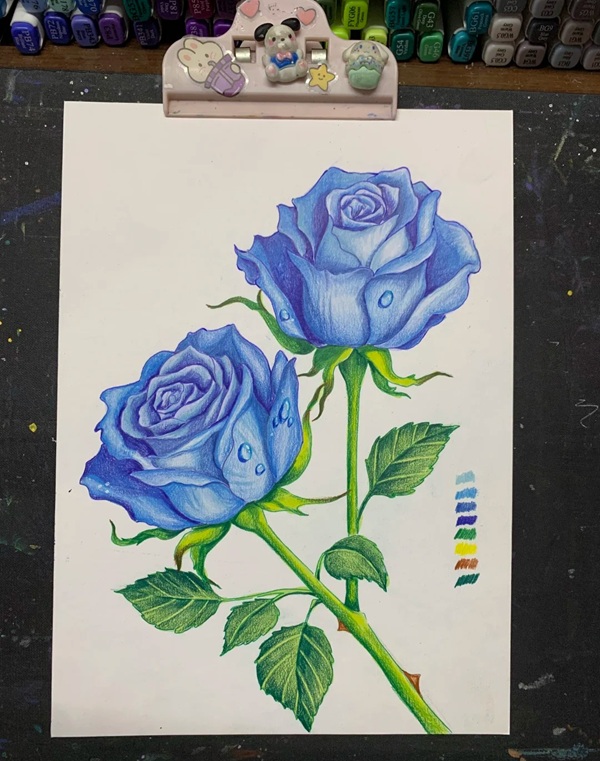 tranh vẽ hoa hồng 23