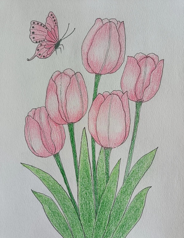 tranh vẽ hoa tulip 15