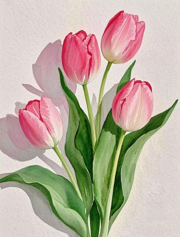 tranh vẽ hoa tulip 18