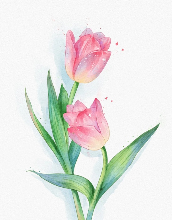 tranh vẽ hoa tulip 27 