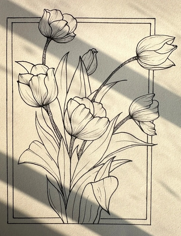 tranh vẽ hoa tulip 3