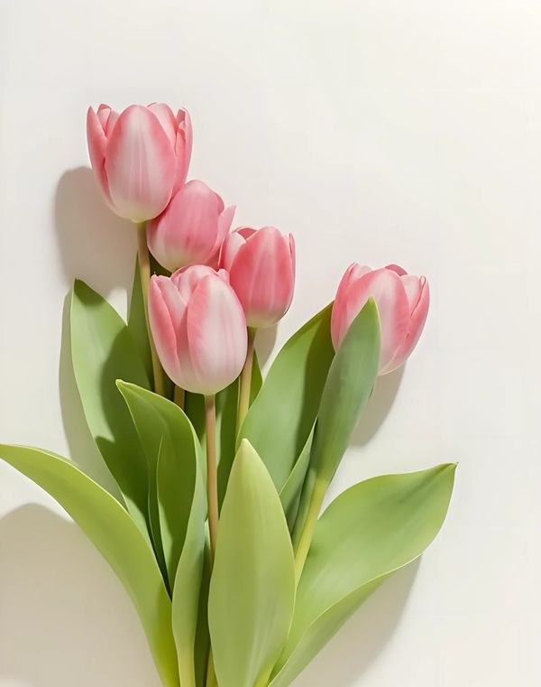 tranh vẽ hoa tulip 30
