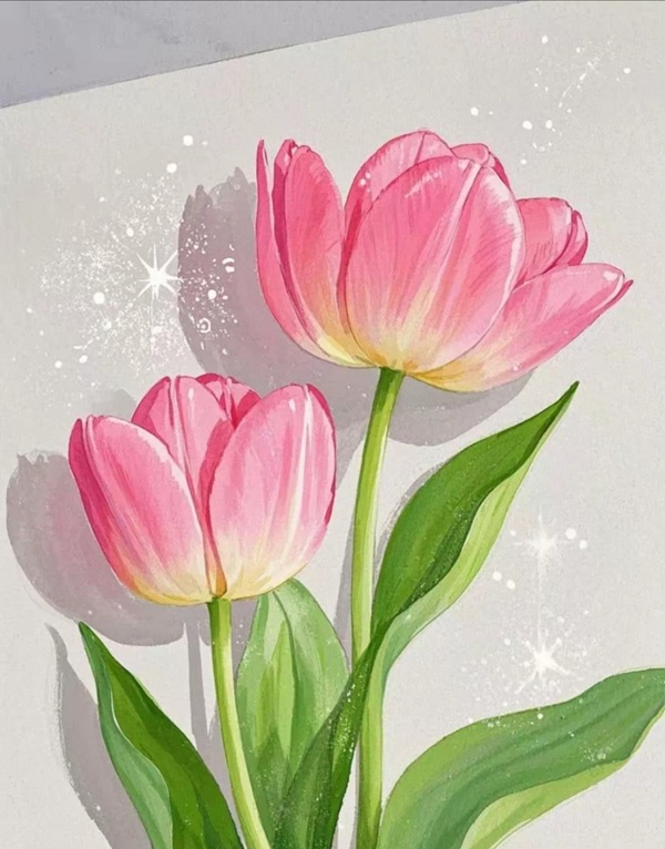 tranh vẽ hoa tulip 35