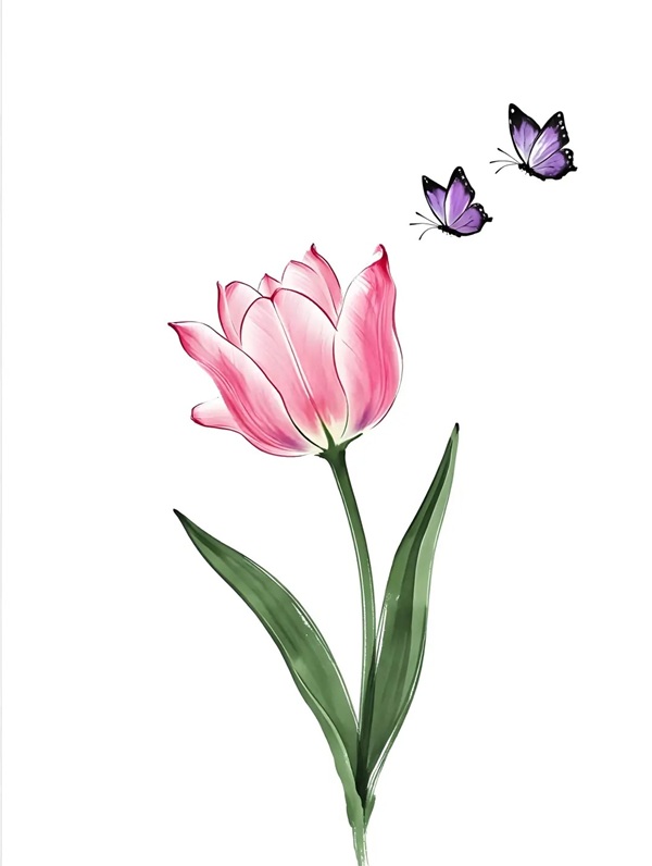 tranh vẽ hoa tulip 39