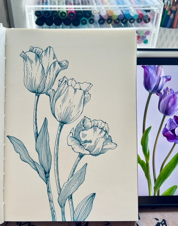 tranh vẽ hoa tulip 9
