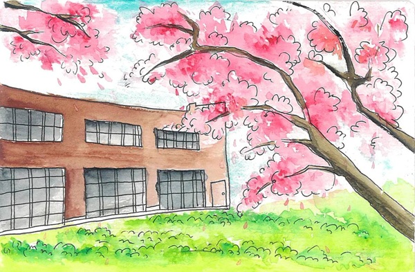 tranh vẽ trường học thân thiện